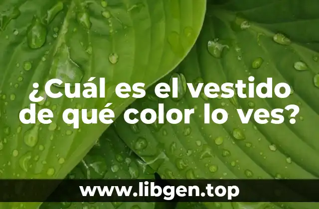¿Cuál es el vestido de qué color lo ves?