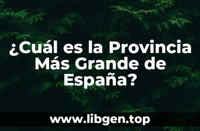 ¿Cuál es la Provincia Más Grande de España?