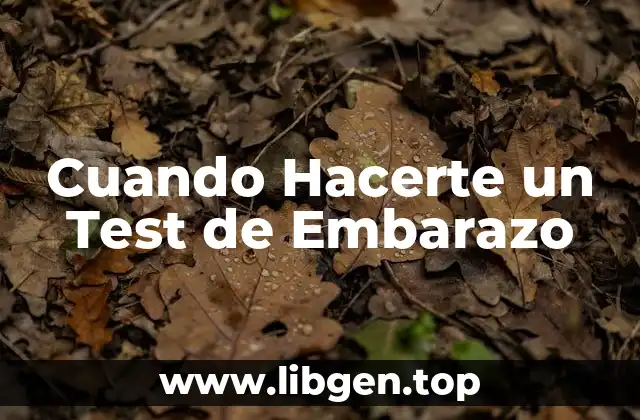 Cuando Hacerte un Test de Embarazo