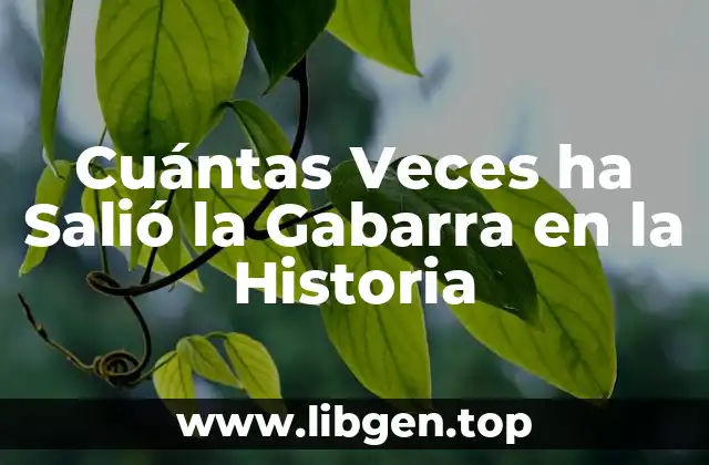 Cuántas Veces ha Salió la Gabarra en la Historia