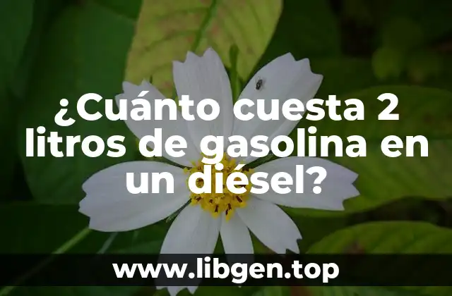 ¿Cuánto cuesta 2 litros de gasolina en un diésel?
