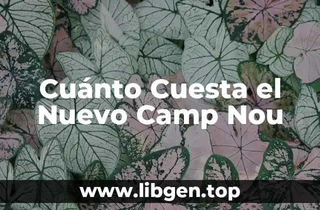 Cuánto Cuesta el Nuevo Camp Nou