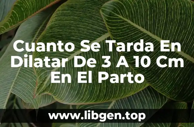 Cuanto Se Tarda En Dilatar De 3 A 10 Cm En El Parto