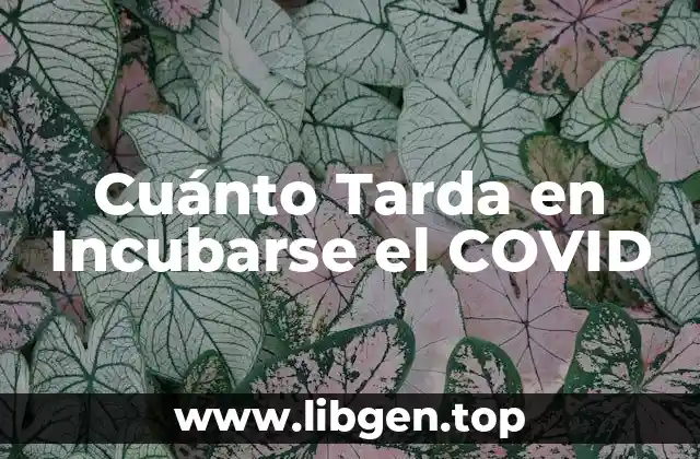 Cuánto Tarda en Incubarse el COVID