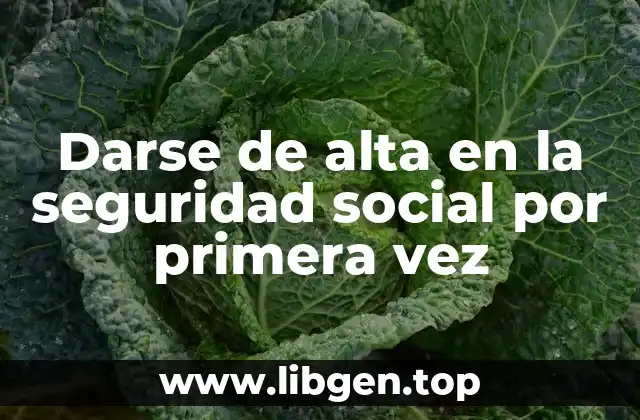 Darse de alta en la seguridad social por primera vez