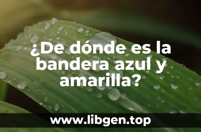 La historia detrás de la bandera azul y amarilla