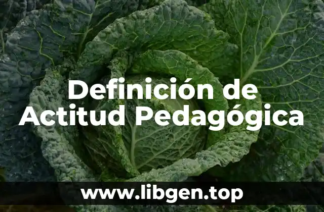 Definición de Actitud Pedagógica