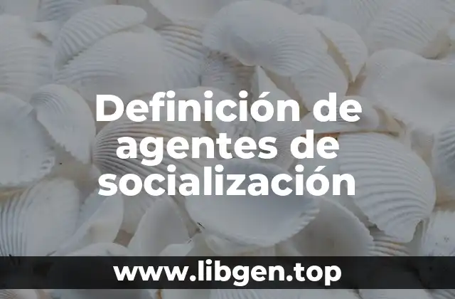 Definición técnica de agentes de socialización
