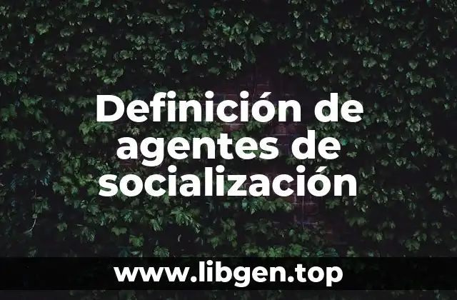 Definición de agentes de socialización