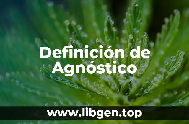 Definición de Agnóstico