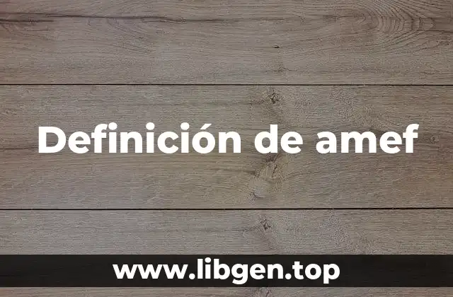 Definición de amef