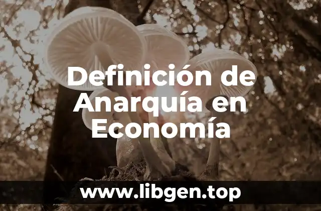 Definición de Anarquía en Economía