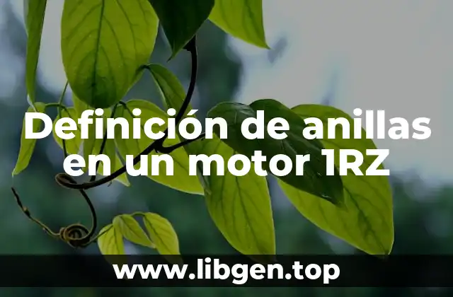 Definición de anillas en un motor 1RZ