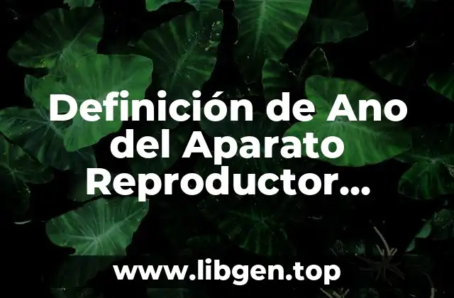 Definición de Ano del Aparato Reproductor Masculino