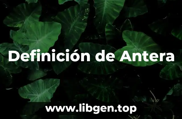 Definición de Antera