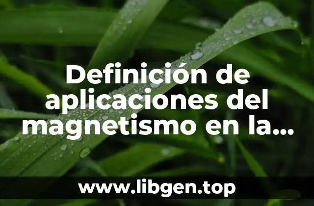 Definición de aplicaciones del magnetismo en la vida cotidiana