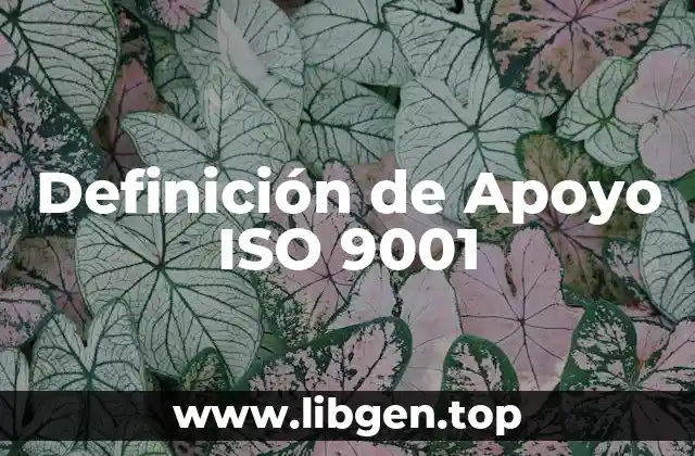 Definición de Apoyo ISO 9001