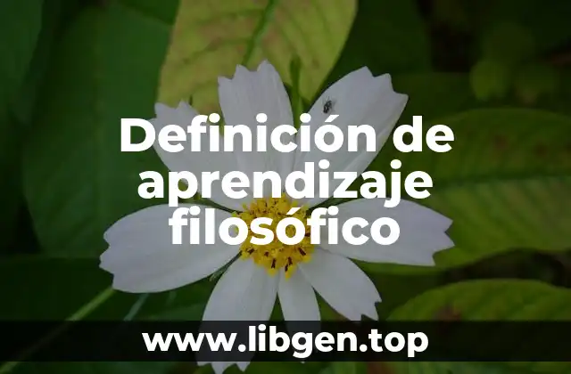 Definición de aprendizaje filosófico