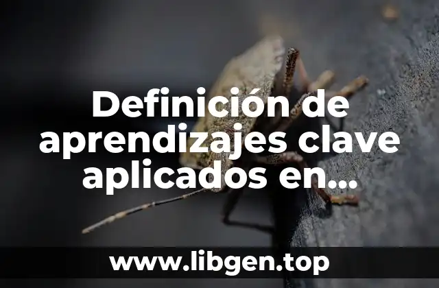 Definición de aprendizajes clave aplicados en primaria