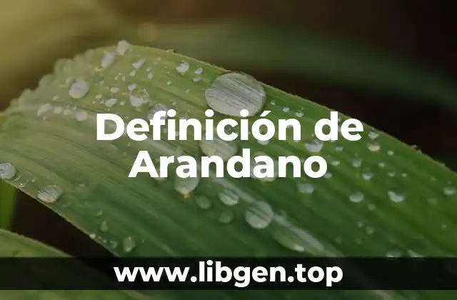 Definición de Arandano