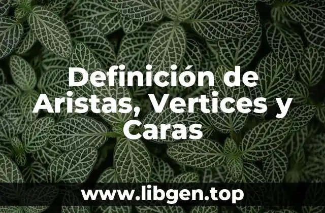 Definición de Aristas, Vertices y Caras