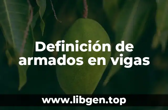 Definición de armados en vigas