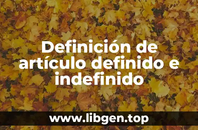 Definición de artículo definido e indefinido