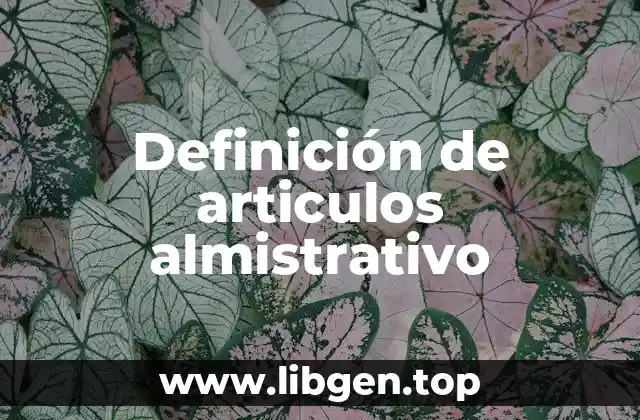 Definición de articulos almistrativo