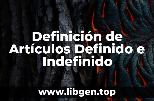 Definición de Artículos Definido e Indefinido
