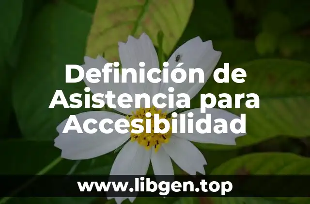 Definición de Asistencia para Accesibilidad