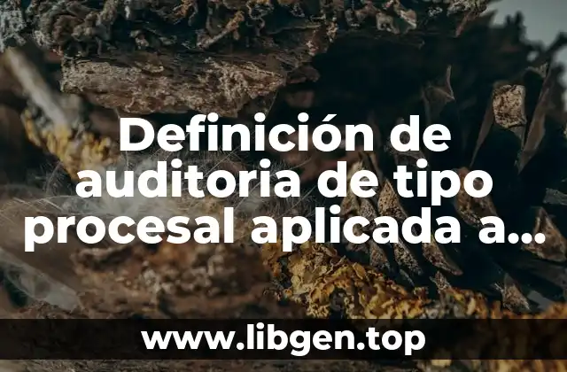 Definición de auditoria de tipo procesal aplicada a una empresa