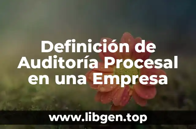 Definición de Auditoría Procesal en una Empresa