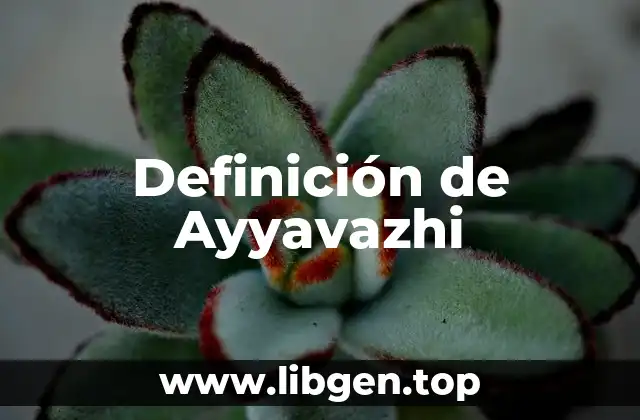 Definición técnica de Ayyavazhi