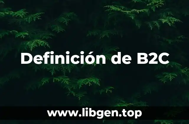 Definición de B2C