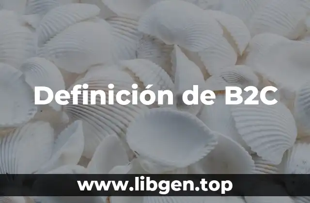 Definición de B2C