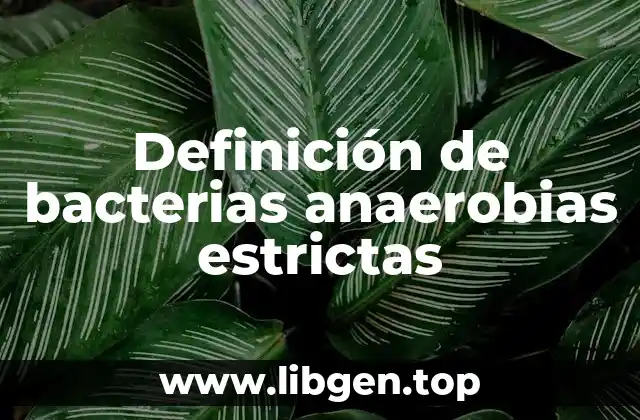 Definición de bacterias anaerobias estrictas