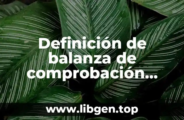 Definición de balanza de comprobación ajustada