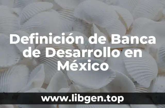 Definición de Banca de Desarrollo en México