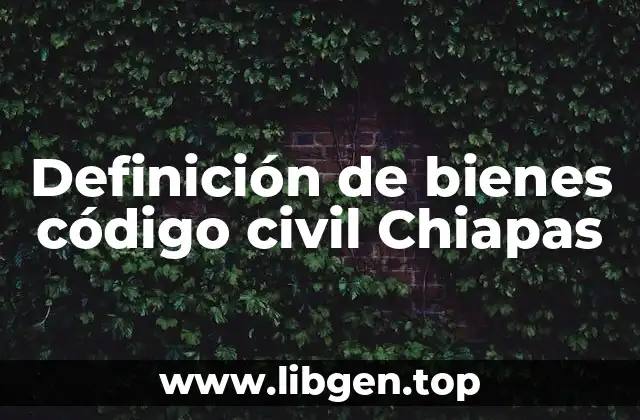 Definición de bienes código civil Chiapas