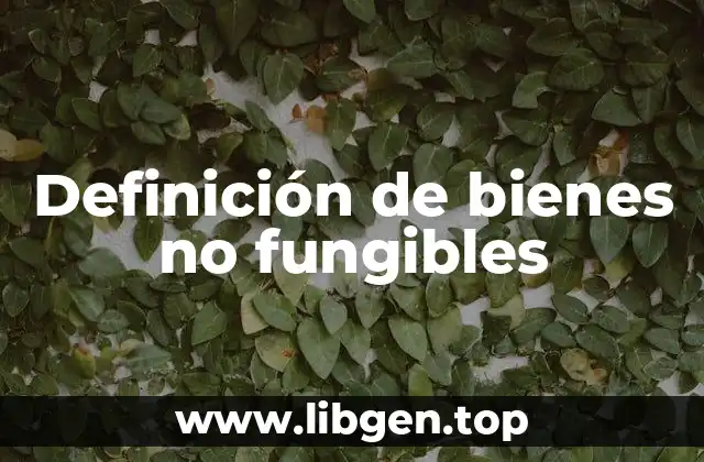 Definición de bienes no fungibles