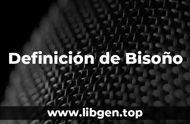 Definición de Bisoño