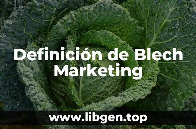 Definición de Blech Marketing