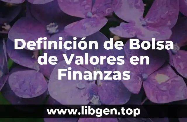Definición de Bolsa de Valores en Finanzas