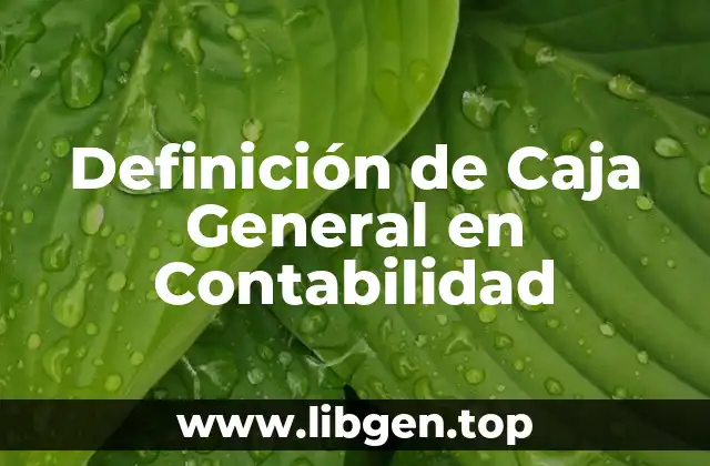 Definición de Caja General en Contabilidad