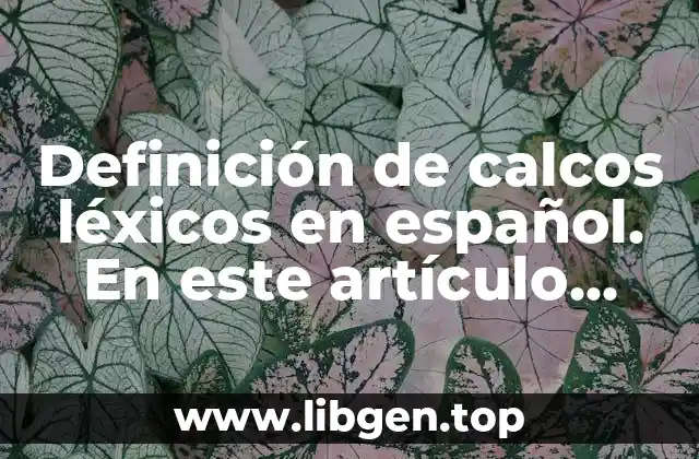 Definición de calcos léxicos en español. En este artículo, exploraremos los conceptos y Definición de calcos léxicos en español, abordando temas como su definición, características, ejemplos y más.