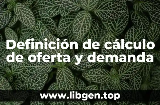 Definición de cálculo de oferta y demanda