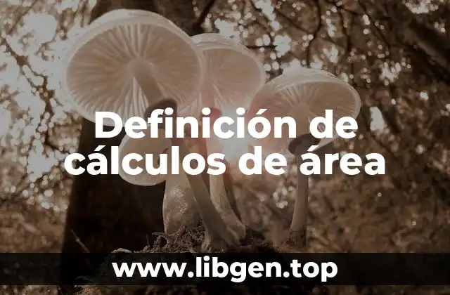 Definición de cálculos de área