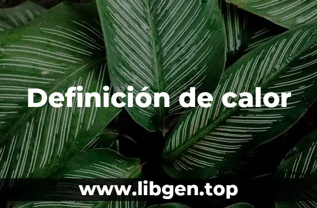 Definición técnica de calor