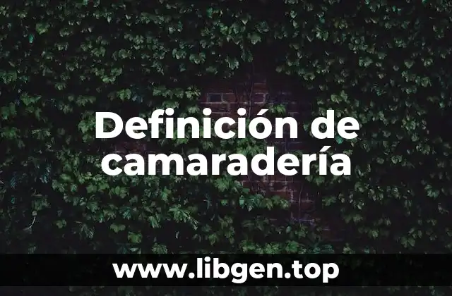 Definición de camaradería