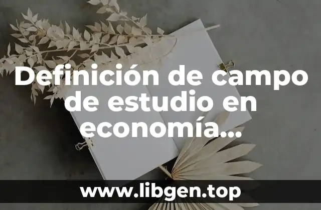Definición de campo de estudio en economía empresarial